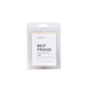 Best Friend Soy Wax Melt