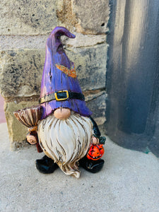 Wizard Gnome Assorted